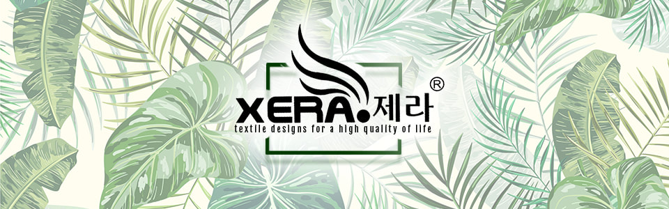 Xera logo collection